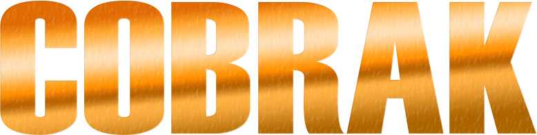 Cob-RAID